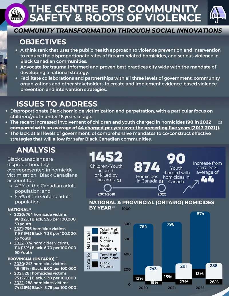 The Centre for Community Safety & Roots of Violence brochure
